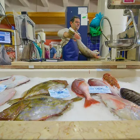 Vilita Διαμέρισμα *