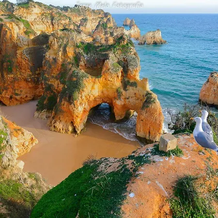 Διαμέρισμα Vilita *